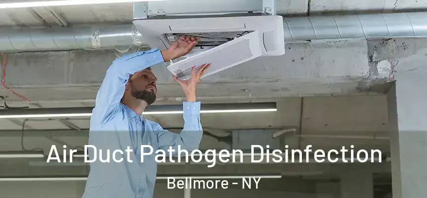 Air Duct Pathogen Disinfection Bellmore - NY