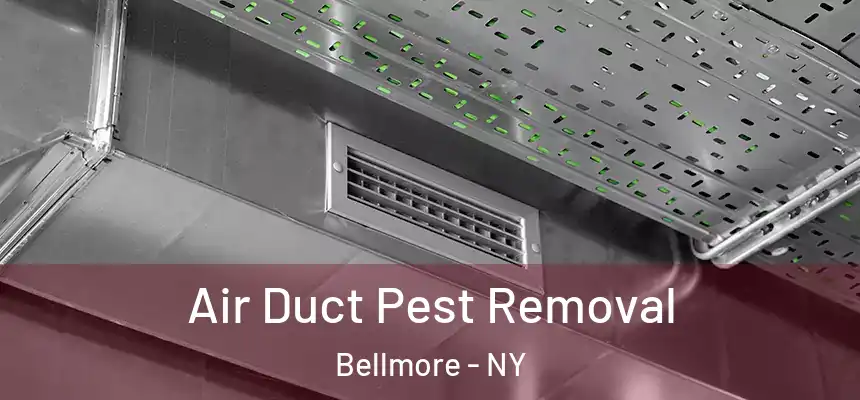  Air Duct Pest Removal Bellmore - NY