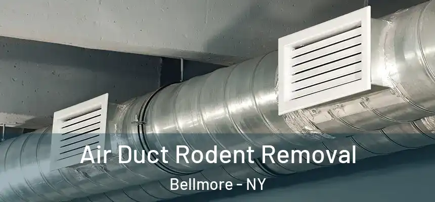 Air Duct Rodent Removal Bellmore - NY