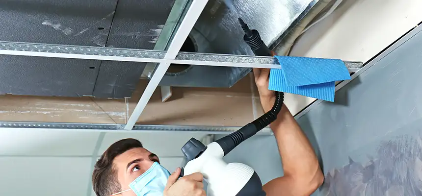 Our Air Duct Rodent Removal Services in Bellmore, NY