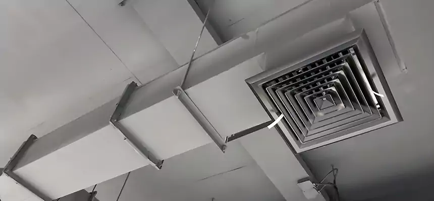 Our Rodent Droppings In Vents Services in Bellmore, NY