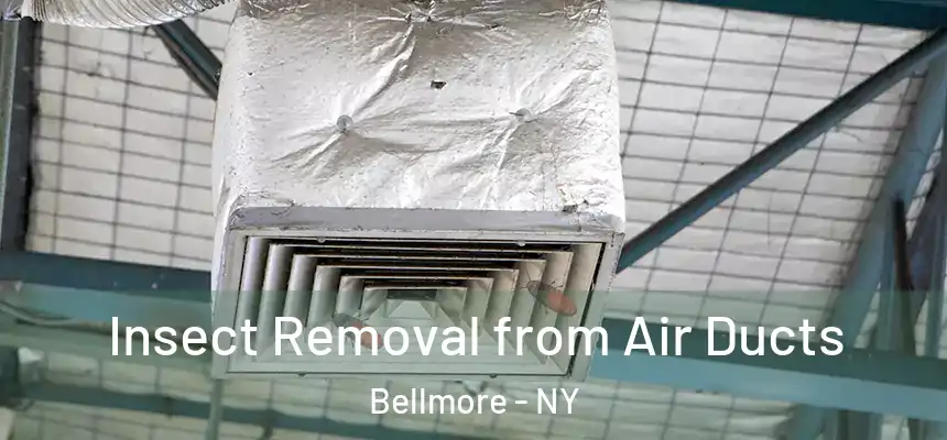  Insect Removal from Air Ducts Bellmore - NY