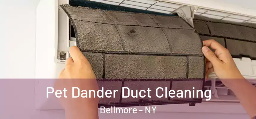 Pet Dander Duct Cleaning Bellmore - NY