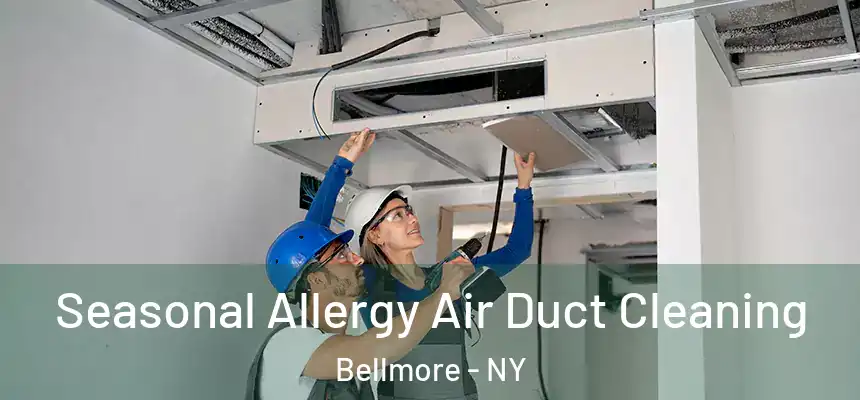  Seasonal Allergy Air Duct Cleaning Bellmore - NY