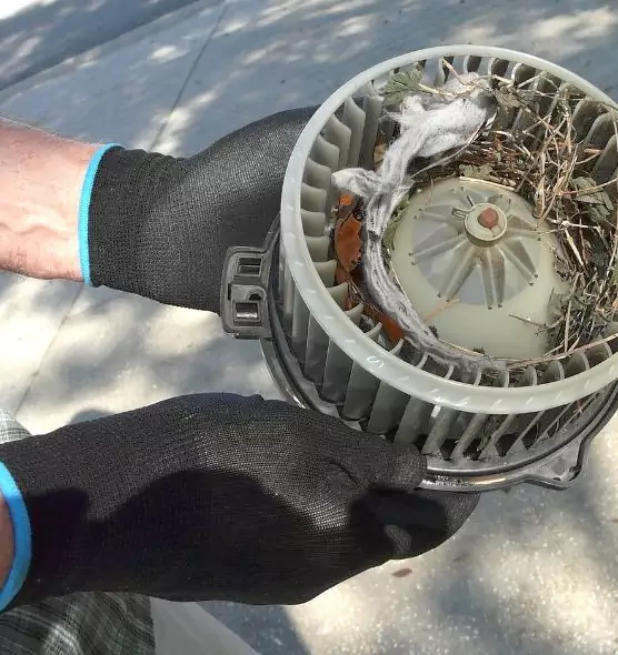 About Air Duct Rat Removal in Bellmore, NY