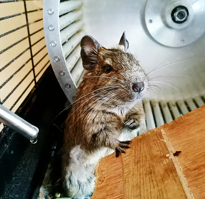 Why Homeowners & Businesses Trust Us Bellmore, NY